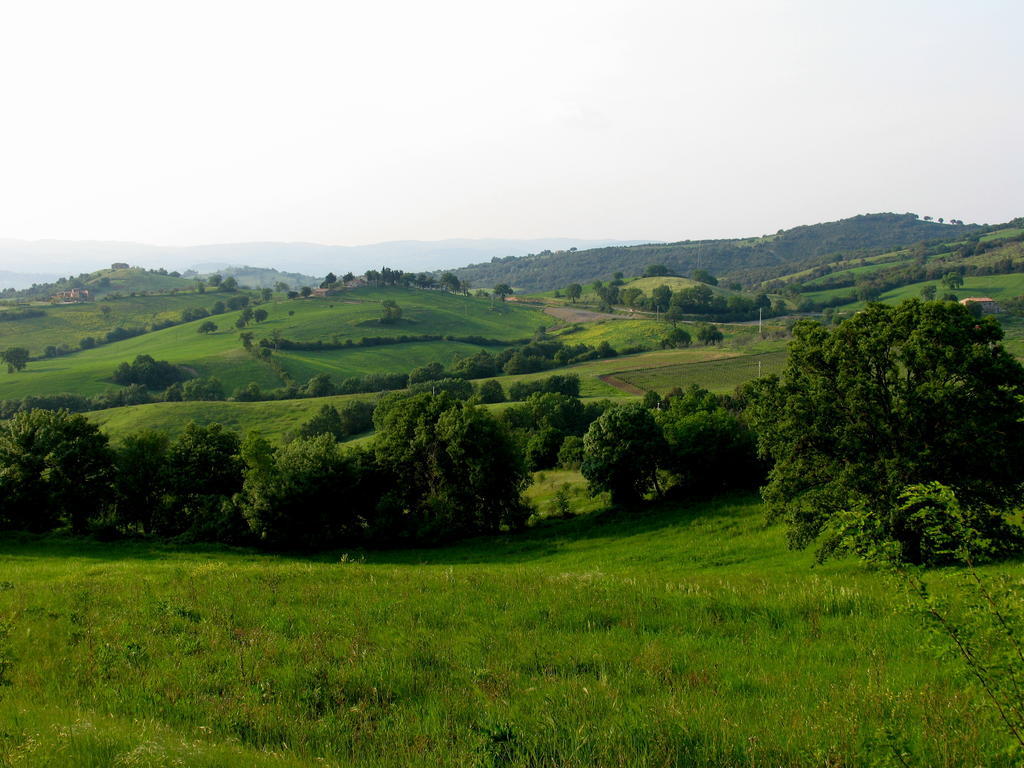 Willa Poggio Della Quercia Manciano Zewnętrze zdjęcie
